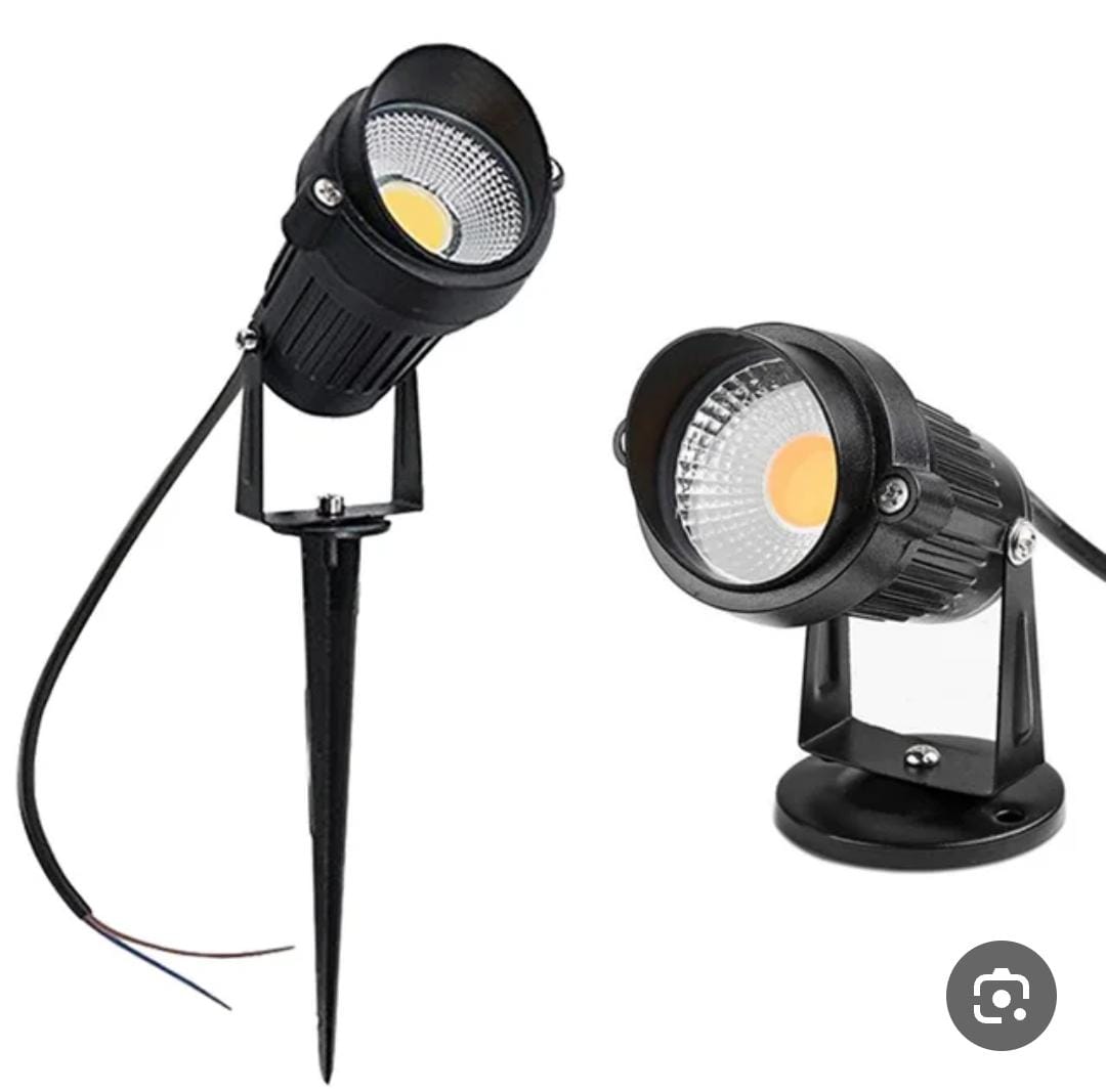 spot