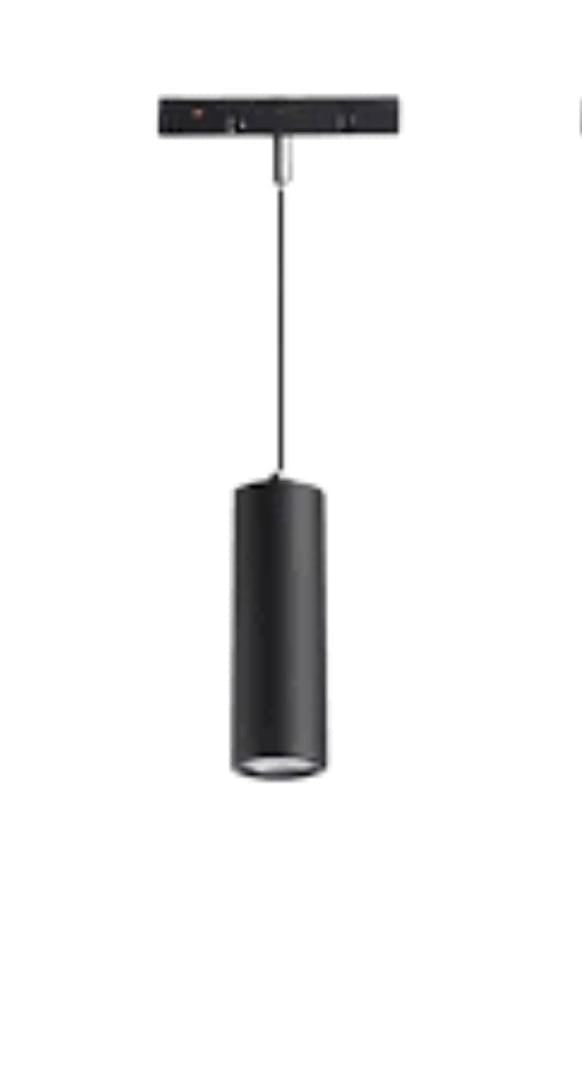 Magnetic pendant