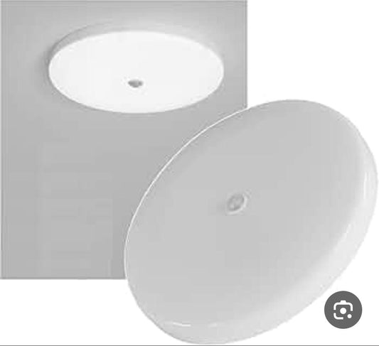 Flashlight with motion sensor