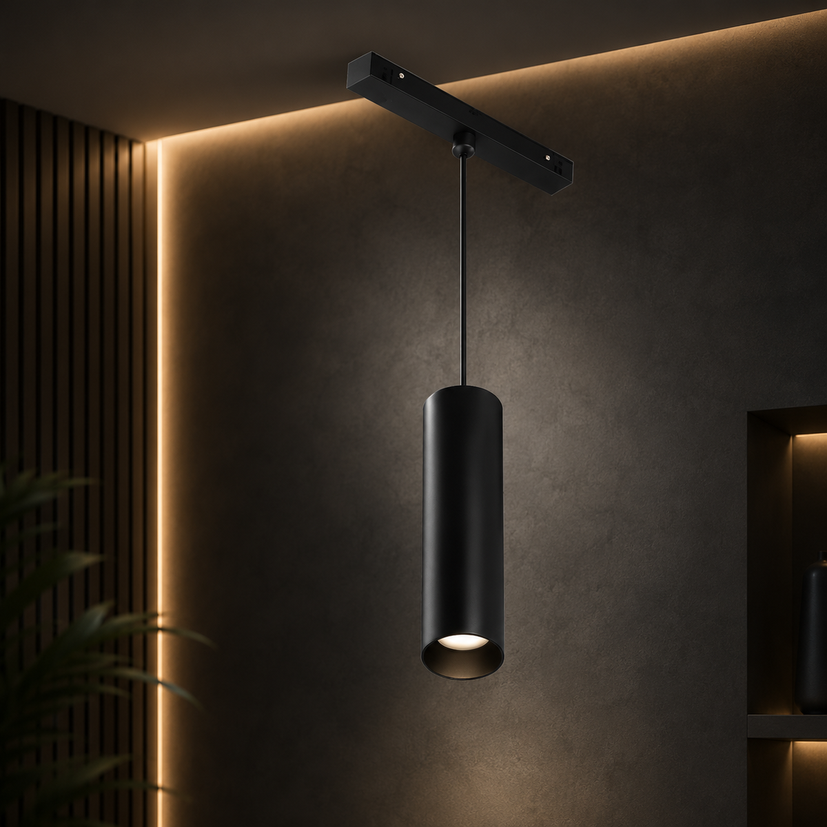 Magnetic pendant